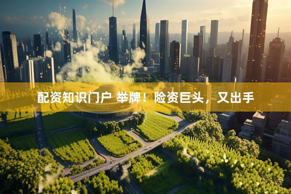 配资知识门户 举牌！险资巨头，又出手