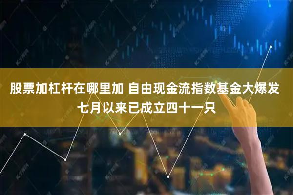 股票加杠杆在哪里加 自由现金流指数基金大爆发 七月以来已成立四十一只