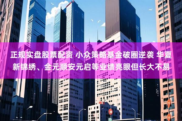 正规实盘股票配资 小众策略基金破圈逆袭 华夏新锦绣、金元顺安元启等业绩亮眼但长大不易