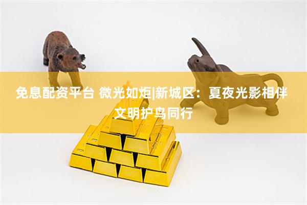 免息配资平台 微光如炬|新城区：夏夜光影相伴 文明护鸟同行